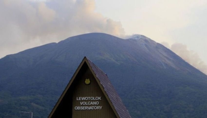Gunung Ile Lewotolok Erupsi 73 Kali, Warga Diminta Waspada