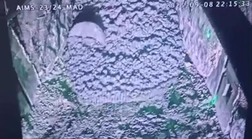 7 Karyawan Terjebak Longsor di Tambang Freeport, Evakuasi Masih Berlangsung