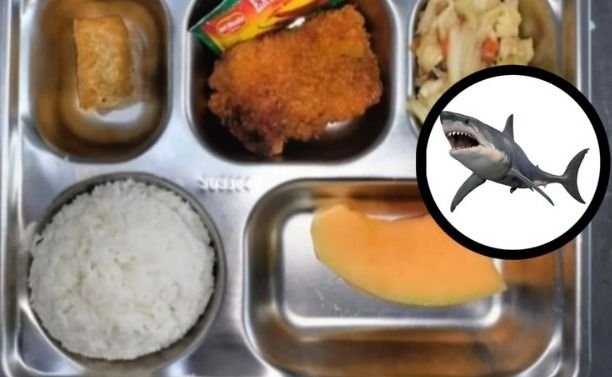 24 Siswa SD Keracunan Hiu Goreng, Pakar UMSurabaya Ungkap Bahaya Daging Hiu!