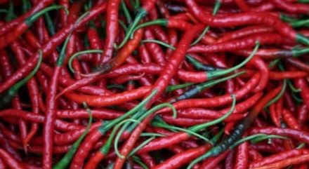 Pedagang dan Warga Sidimpuan Menjerit! Harga Cabai Merah Keriting Tembus Rp100 Ribu/Kg