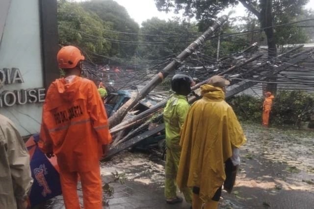 Hujan Deras dan Angin Kencang, Pohon Tumbang Timpa Angkot di Pondok Labu