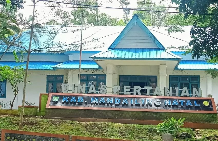Seluruh Kabid Dinas Pertanian Madina Jalani Riksus, Plt Kadis: Saya Tidak Terlibat