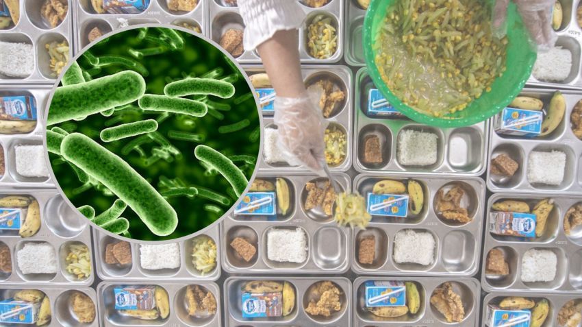 Bakteri E. Coli Diduga Jadi Penyebab Keracunan MBG di Lombok Barat