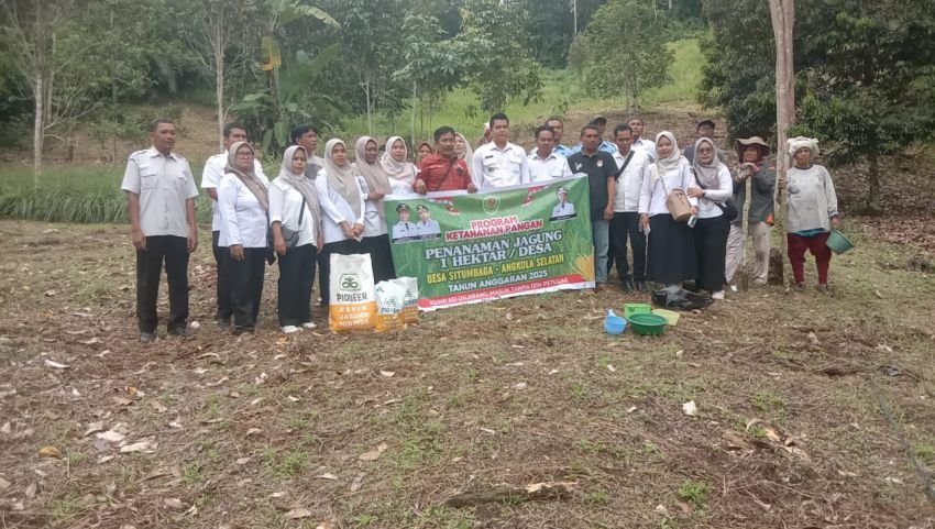 Desa Situmbaga Gencarkan Ketahanan Pangan Lewat Budidaya Jagung dan Ikan Lele