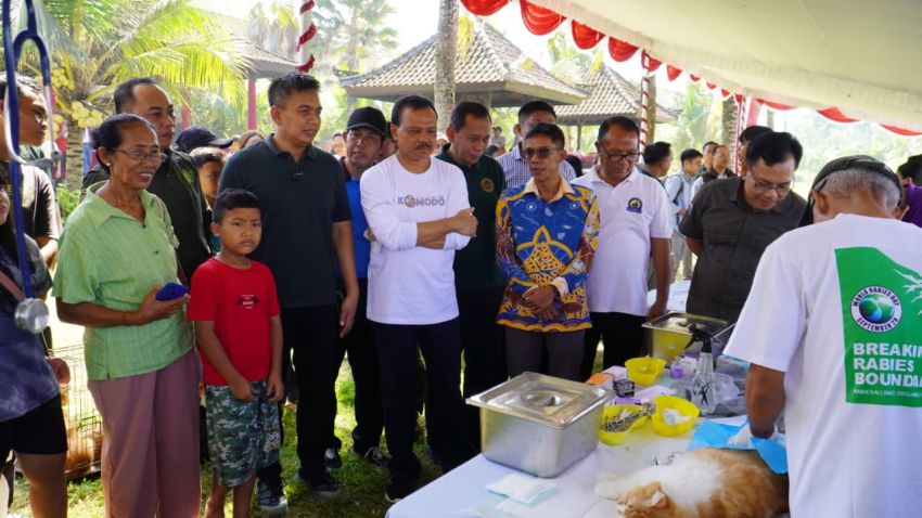 Rabies Masih Jadi Ancaman Serius, Pemprov Bali Gencarkan Vaksinasi di Jembrana