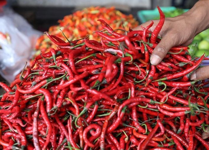 Harga Cabai Merah Melonjak di Medan, Konsumen Keluhkan Daya Beli Terganggu