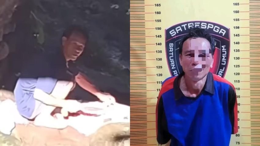 Sadis! Pria di Pagar Alam Jagal Ratusan Kucing, Daging Dijual ke Warga Rp 100 Ribu per Kg