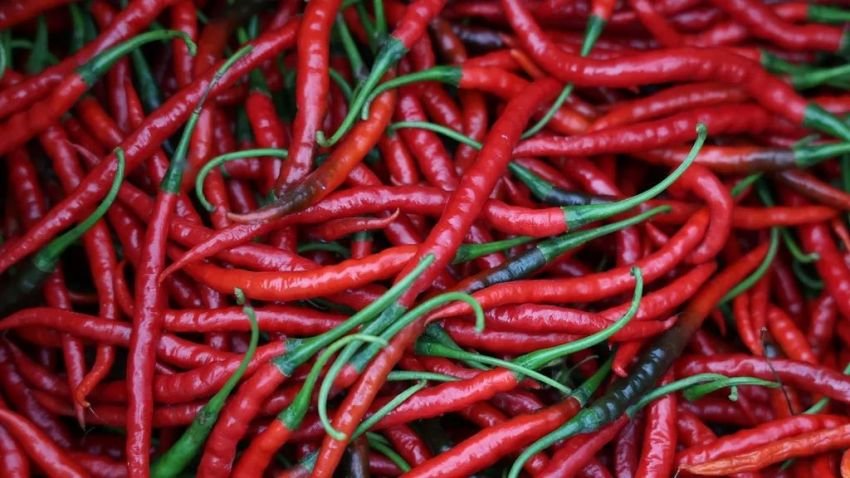 Harga Cabai Merah di Sumut Tembus Rp100 Ribu per Kg, Disperindag: Stok Menipis!