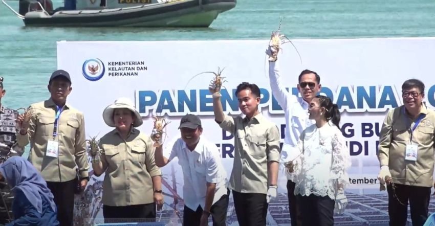 Wapres Gibran Janji Percepat Perpres Antipenyelundupan Lobster: “Tidak Boleh Lagi Ada Kebocoran”