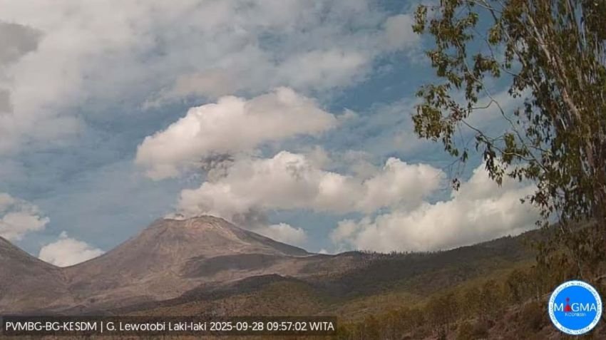 Gunung Lewotobi Laki-laki Erupsi, Kolom Abu Capai 1.200 Meter