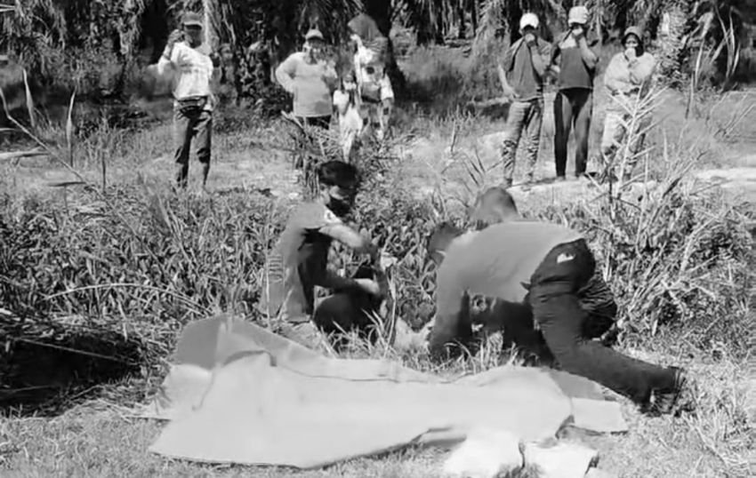 Identitas Mayat di Parit Sawit Batu Bara Terungkap, Mahasiswa 23 Tahun Ditemukan Tewas