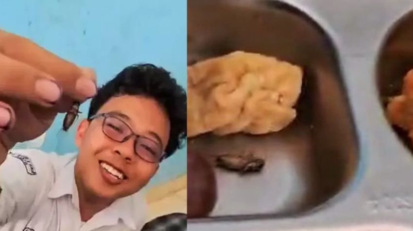 Temuan Ulat dan Jangkrik di Menu Makan Gratis SMPN 2 Sewon, Bantul: Terjadi Tiga Hari Berturut