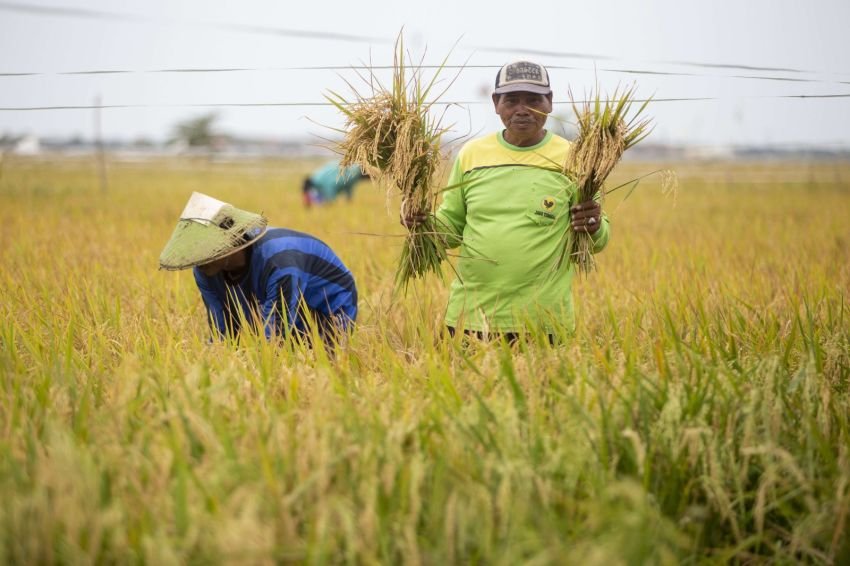 Jelang Hari Tani Nasional 2025, SPI Ajukan 8 Tuntutan Reforma Agraria ke Pemerintah