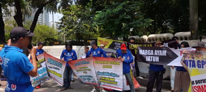 Peternak Ayam Gelar Aksi di Monas, Desak Prabowo Bentuk Kementerian Peternakan!