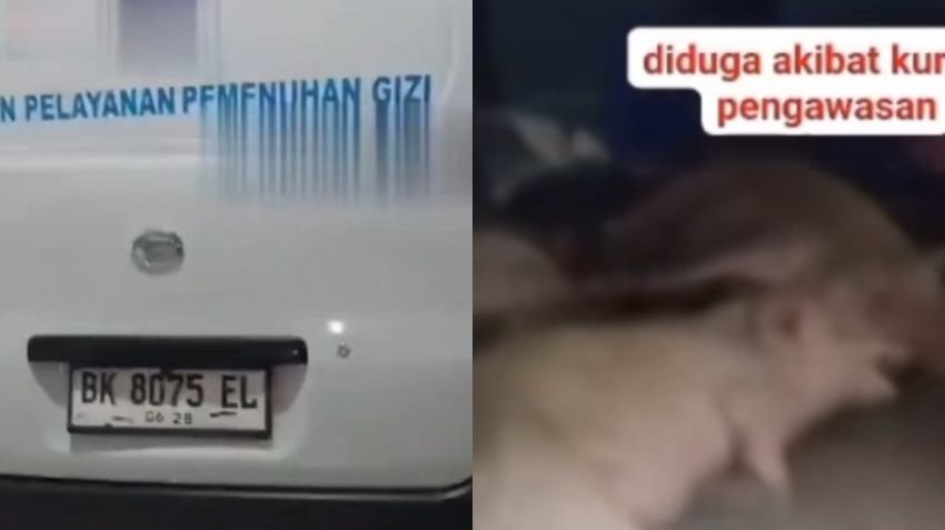 Viral! Mobil SPPG Terekam Angkut Babi dan Ayam di Nias Selatan, Kepala BGN Sumut Buka Suara