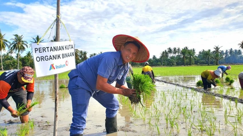 INALUM Dukung Pertanian Berkelanjutan Lewat Penerapan Metode Tani Nusantara di Kuala Tanjung