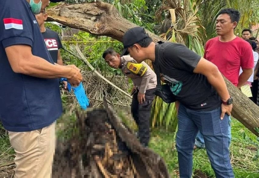 Tiga Pekan Misteri Kerangka di Pohon Aren Serdang Bedagai Belum Terungkap, Polisi Imbau Warga Tidak Terprovokasi Hoaks