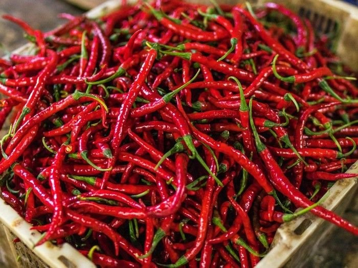 Bukan Sekadar Bumbu, Inilah 9 Manfaat Cabe yang Perlu Anda Ketahui!