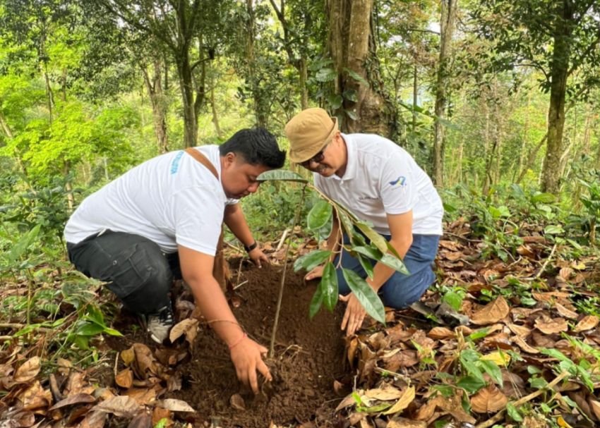 Viral Dugaan Pembabatan Hutan Ambengan, KPH Bali Utara Klarifikasi