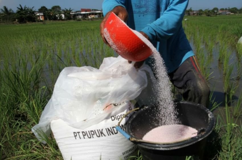 Resmi! Presiden Prabowo Turunkan Harga Pupuk 20% Secara Nasional