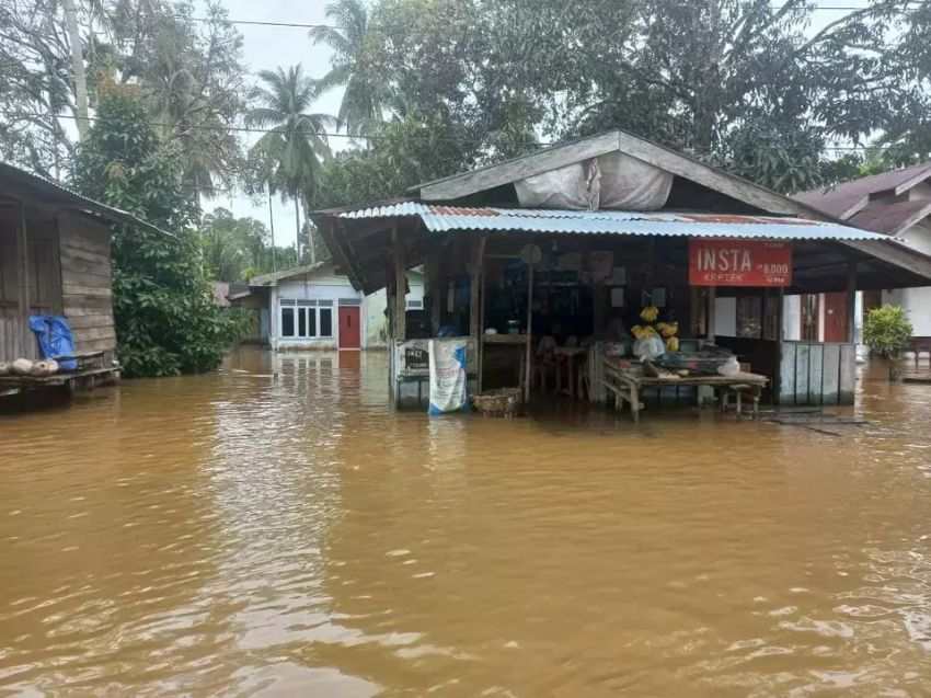 Banjir Rendam 8 Kecamatan di Aceh Jaya, Ribuan Warga Terdampak