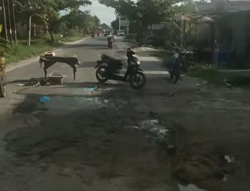 Viral Pohon Pisang di Jalan Rusak, Desa Pahang dan Benteng Kompak Perbaiki Jalan Secara Swadaya