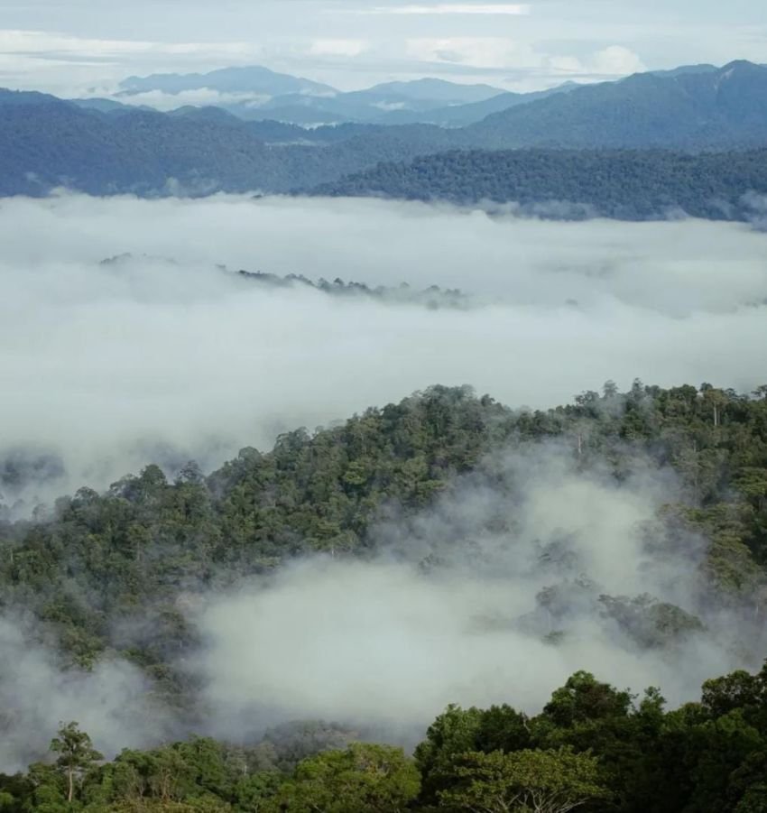 Agro Wisata Kilo 6 Geumpang: 'Negeri Atas Awan' Tersembunyi di Aceh yang Memikat Jiwa