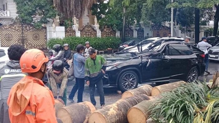 Pramono Anung Sampaikan Belasungkawa, Pemprov DKI Tanggung Penuh Biaya Korban Pohon Tumbang di Dharmawangsa