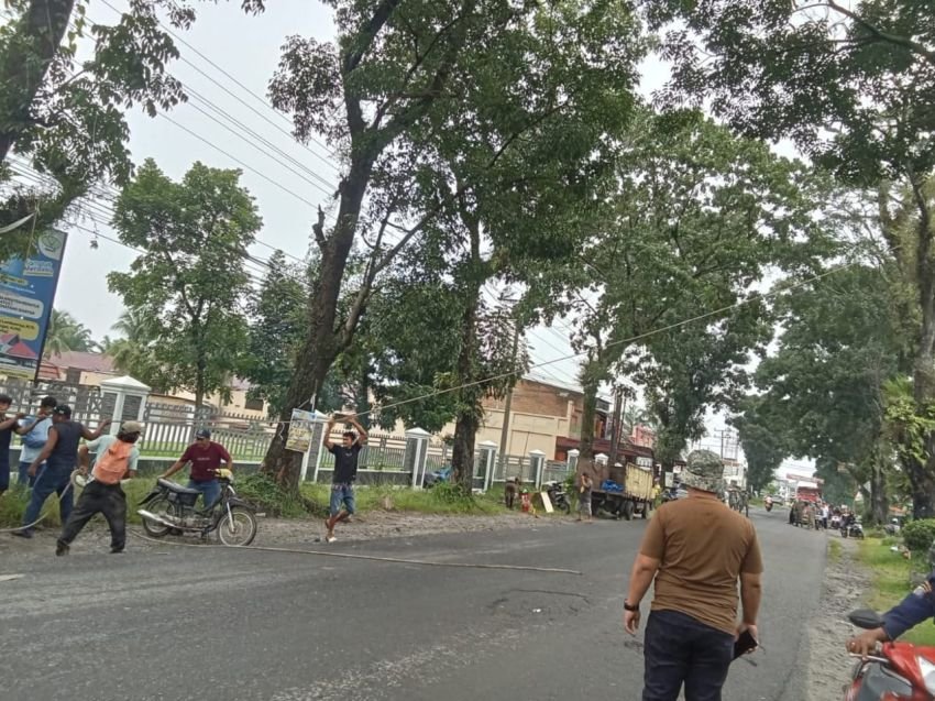 Mitigasi Bencana, Pemkab Simalungun Lakukan Penebangan dan Perantingan Pohon Strategis