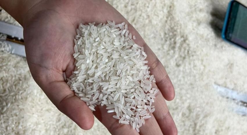 Kabar Baik! Harga Pangan Turun Serentak Hari Ini