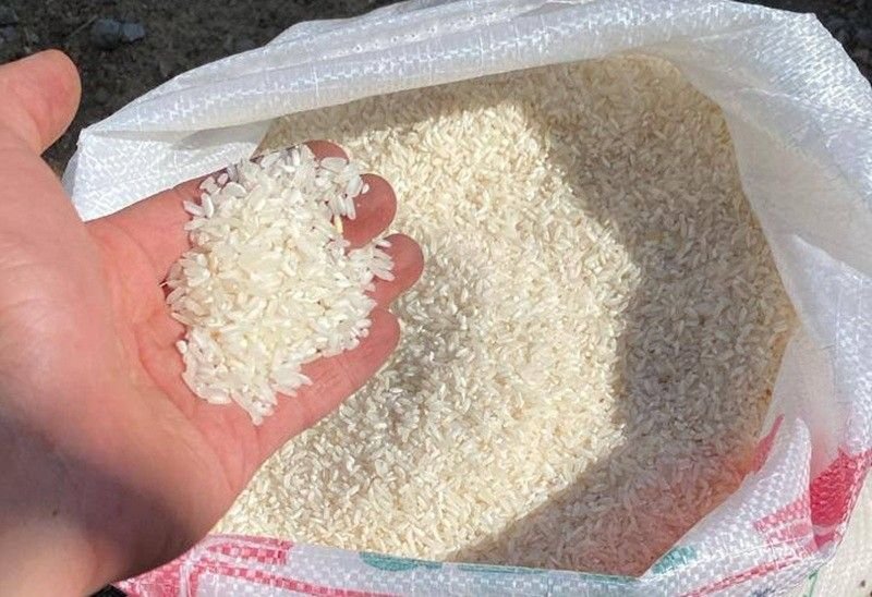 Update Harga Pangan Hari Ini: Beras dan Ikan Naik, Cabai dan Daging Turun