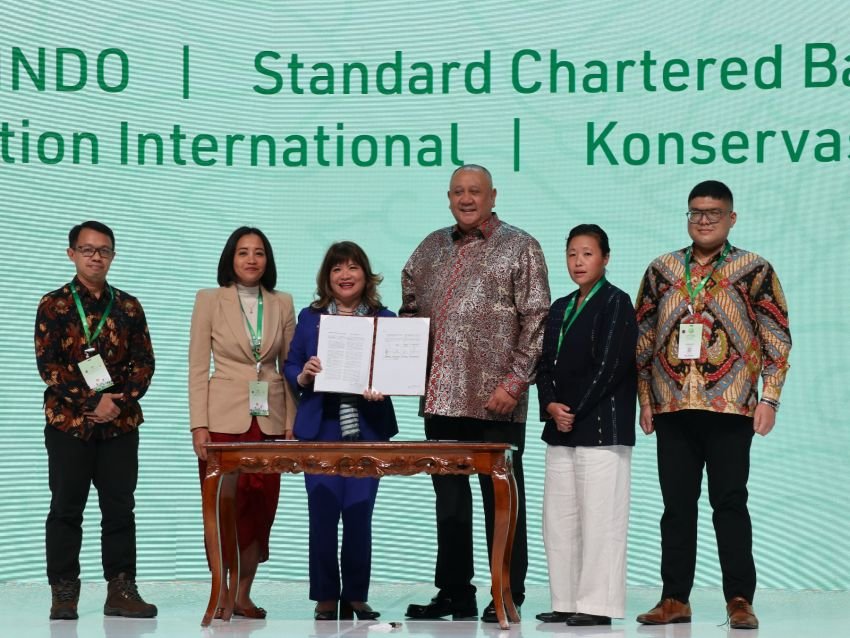 Dari Laut untuk Negeri: APINDO Bangun Ekosistem Rumput Laut Ramah Lingkungan