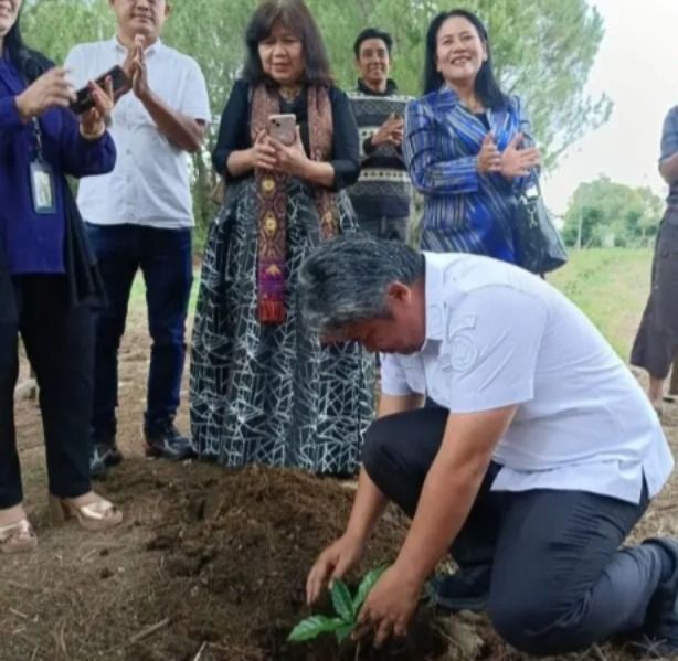 Wakil Bupati Taput Serahkan Bibit Kopi Sigarar Utang, Dorong Kebangkitan Komoditas Unggulan Lewat Festival Kopi Danau Toba II