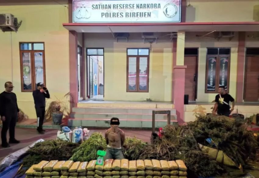 Operasi Antik Seulawah 2025: 154 Kg Ganja Disita, Ladang Dua Hektare Dimusnahkan