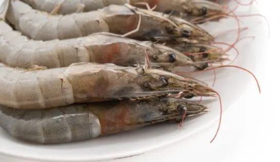 Imbas Kasus Radioaktif Cesium, FDA AS Wajibkan Sertifikasi Impor untuk Udang dan Rempah dari Jawa-Lampung