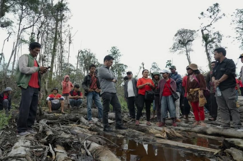 Bane Raja Manalu Desak Penghentian Perambahan Hutan di Dairi: "Deforestasi Harus Dihentikan!"