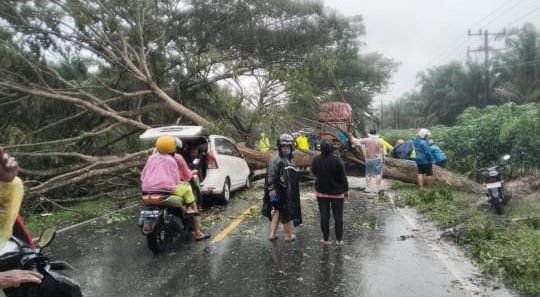 Badai Hujan & Angin Kencang Terjang Batu Bara, Pohon Tumbang Sebabkan Kemacetan Total di Sei Balai