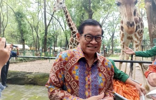 Gubernur Pramono Bantah Isu Pakan Satwa Ragunan Dicuri: &ldquo;Saya Sudah Cek, Tidak Ada&rdquo;