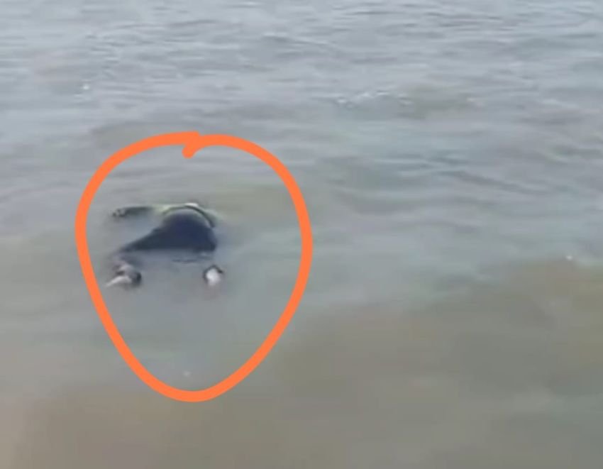 Sesosok Jasad Terombang-Ambing di Laut Kuala Indah, Warga Batu Bara Tersentak Haru