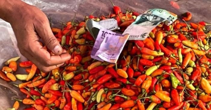 Harga Kebutuhan Pokok Melonjak, Inflasi Jakarta Capai 2,69% YoY