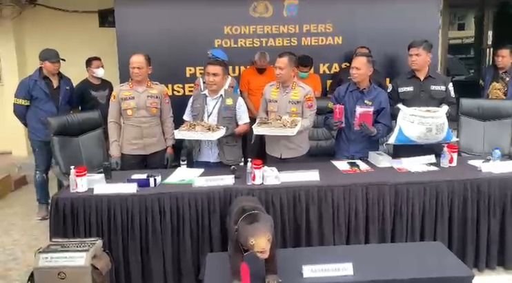 Polrestabes Medan Kejar Penjual Offset Beruang Madu, Modusnya Lewat Media Sosial