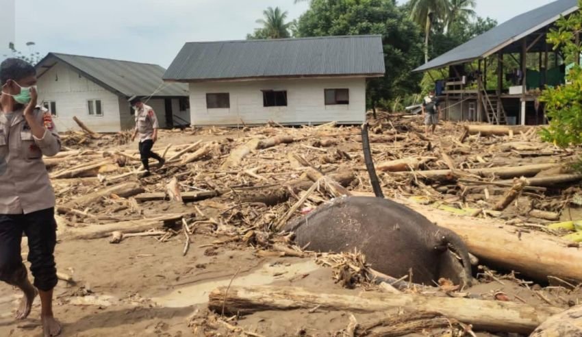 Walhi Ungkap Banjir Aceh Bukan Musibah Alam: Akibat Deforestasi, Ekspansi Kebun Sawit dan Tambang Ilegal