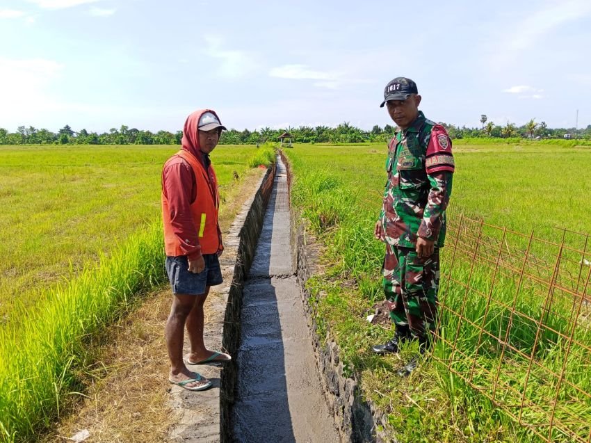 Dukung Ketahanan Pangan, Babinsa Jembrana Pastikan Aliran Air Irigasi Subak Kali Kembar Lancar untuk Petani