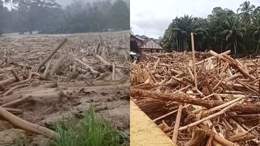 Viral Video Kayu Gelondongan Terbawa Banjir, Kemenhut Deteksi Sumber dari PHAT di Sumatra