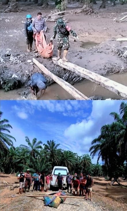 Tiga Korban Hanyut Ditemukan di Sungai Garoga, Tim Gabungan Bencana Bergerak Cepat