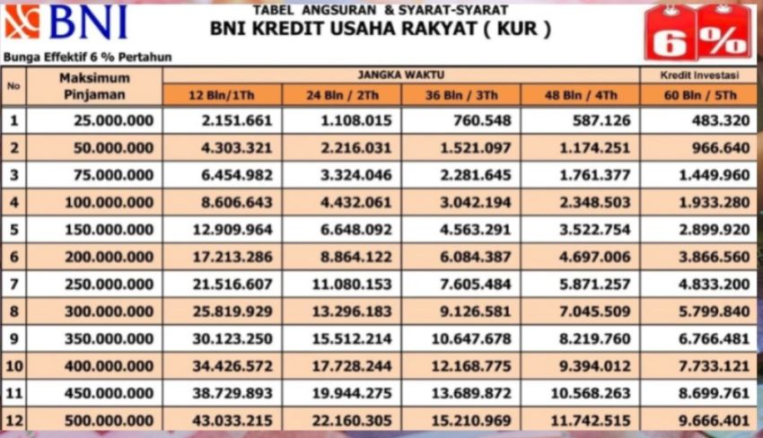 KUR BNI 2025: Modal Usaha Rp100 Juta dengan Suku Bunga 6 Persen, Cek Tabel Angsuran