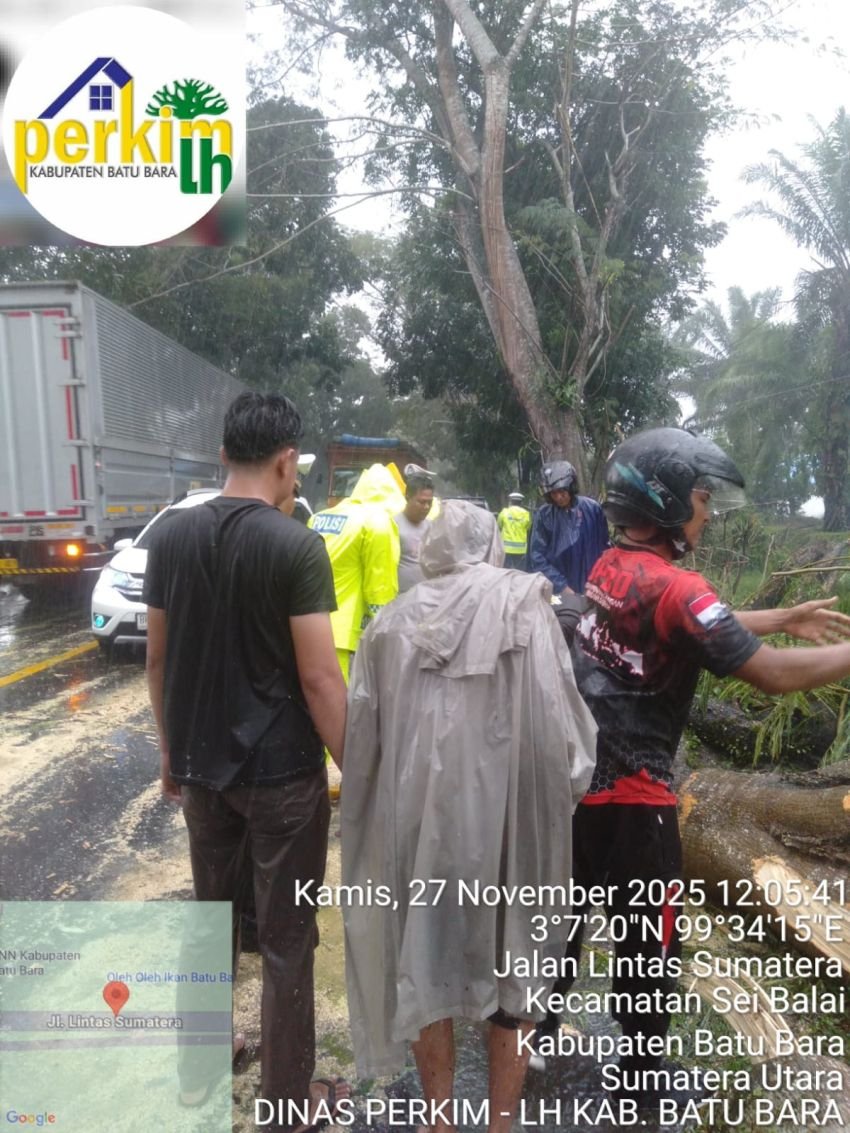 BPBD bersama Dinas Perkim LH dan Satlantas Batu Bara Laksanakan Penanganan Darurat Pohon Tumbang, Warga Diimbau Tetap Waspada