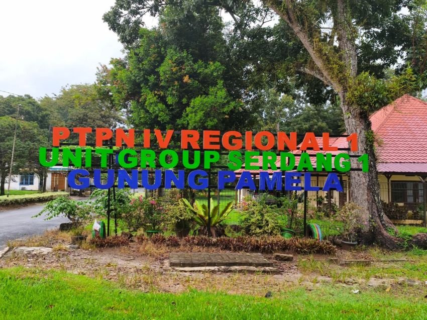 PTPN IV Kebun Gunung Pamela Tegaskan PHK Berdasarkan Bukti Penggelapan dan Narkotika