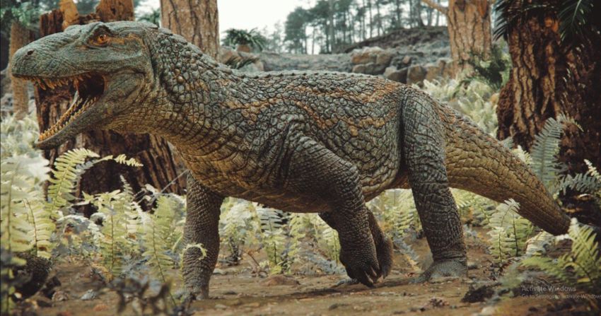 Ilmuwan Ungkap Nenek Moyang Buaya Hidup 240 Juta Tahun Lalu, Bukan Dinosaurus