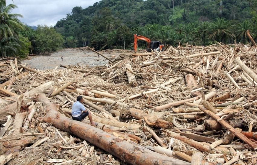 7 Perusahaan Ini Disebut Jadi Biang Banjir dan Longsor di Sumatera Utara